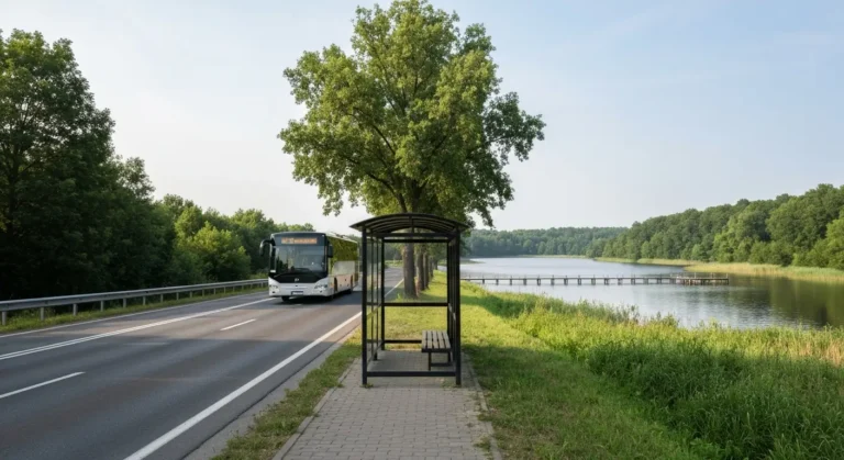 Regionalny autobus na wiejskiej drodze z Bydgoszczy do Koronowa, w tle Zalew Koronowski na Brdzie i przystanek autobusow