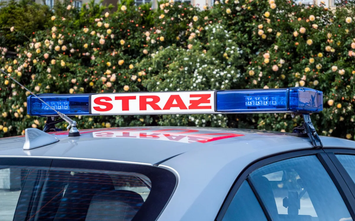 Kiedy trzeba zarejestrować pojazd i jak uniknąć błędów?