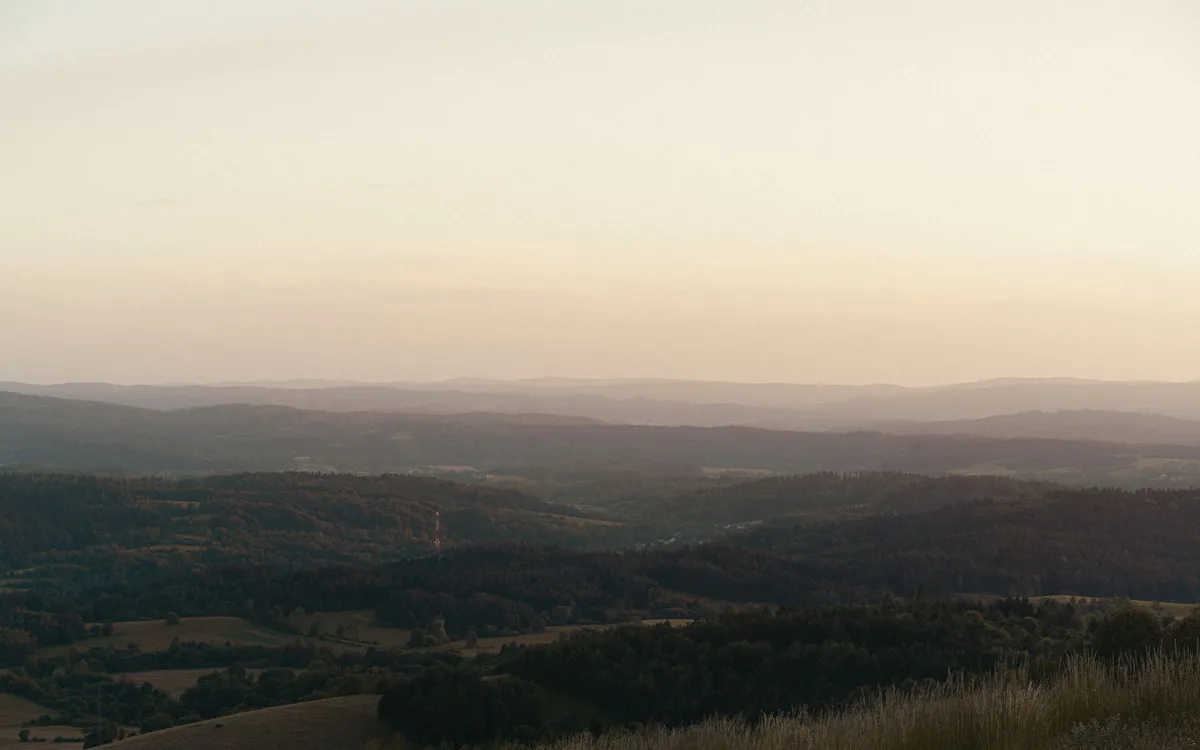 Lasy, Pieczyska i widoki nad Zalewem Koronowskim