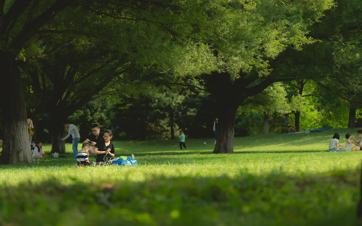 Ile kosztują atrakcje dla rodziny w Bydgoszczy?
